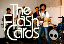 The Flashcards the_flashcards